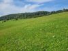 Pozemok Zubk Foto 9